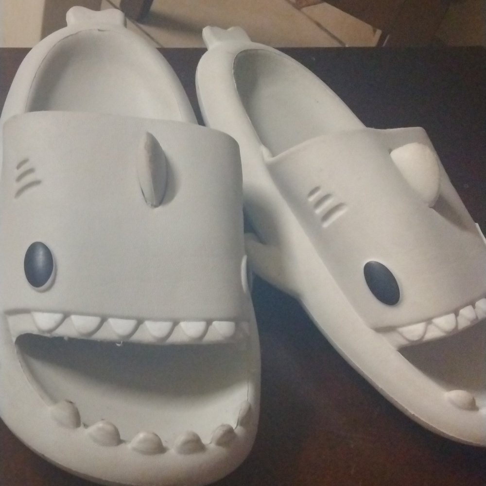 Shark slides - Picture 2 of 4